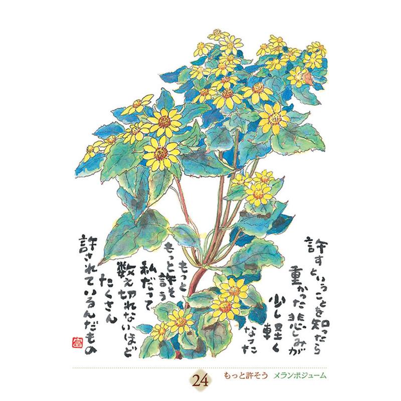万年 星野富弘 31枚の詩画日めくり どうしても必要なものはただひとつ 2027年 カレンダー 令和9年 27CL-747 |  | 05