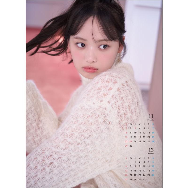 残りわずか】濱岸ひより 2026年 壁掛けカレンダー CL-193 CL26-193