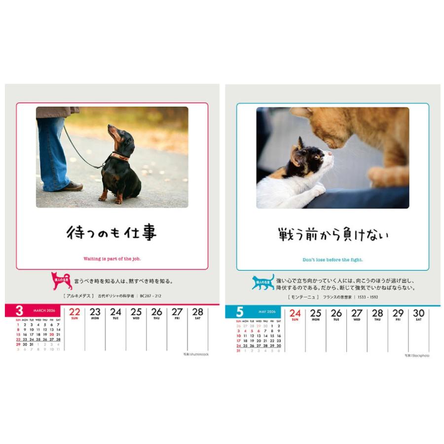 人生はワンチャンス！ ／ 人生はニャンとかなる！ 卓上/壁掛 セット