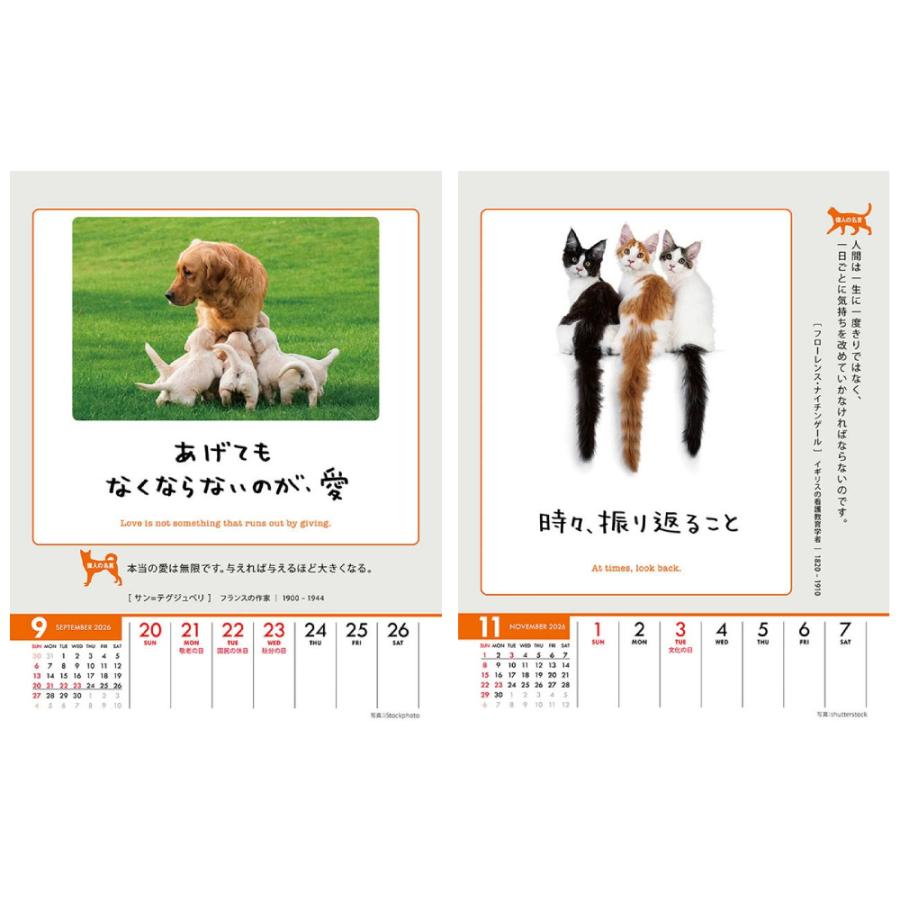 残りわずか】人生はワンチャンス！ ／ 人生はニャンとかなる！ 卓上