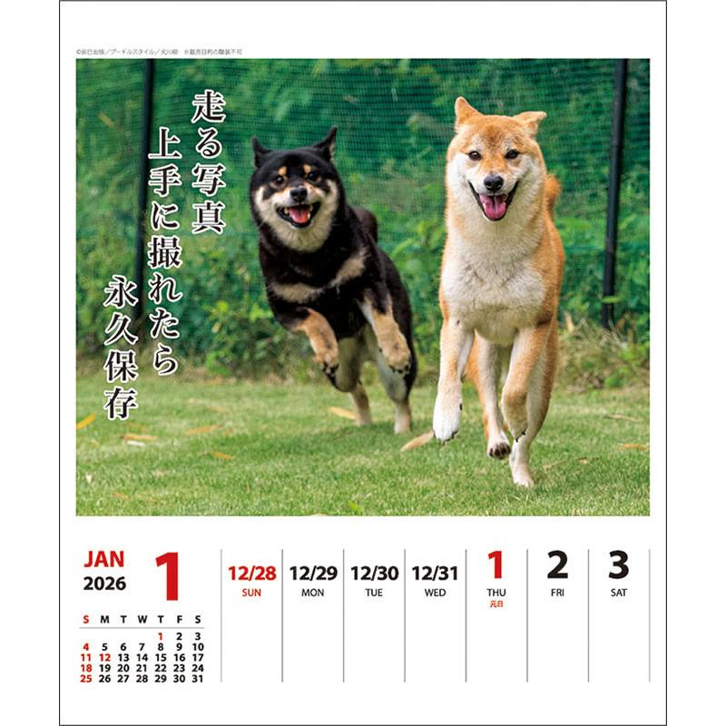 残りわずか】犬川柳 週めくり 卓上/壁掛 2026年 カレンダー CL-387