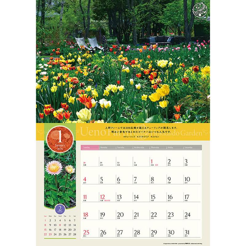 ウェルカム繁夫 2026年3月08日（日）大阪・難波MELE (ticket) - SHOCKER