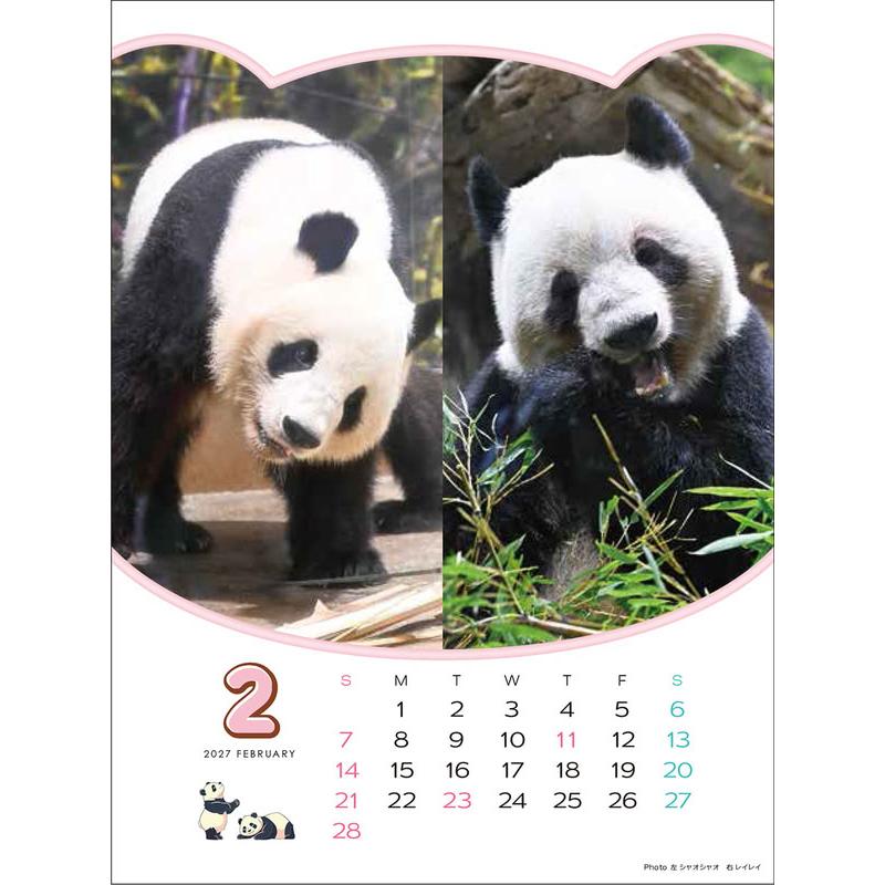 ありがとう！シャオシャオ・レイレイ 思い出カレンダー（シャンシャンもいるよ！）4月始まり 壁掛け・卓上兼用 2026年 カレンダー CL-751 |  | 11