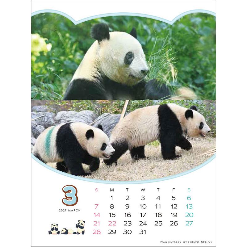 ありがとう！シャオシャオ・レイレイ 思い出カレンダー（シャンシャンもいるよ！）4月始まり 壁掛け・卓上兼用 2026年 カレンダー CL-751 |  | 12