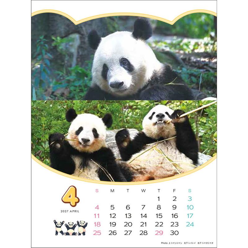 ありがとう！シャオシャオ・レイレイ 思い出カレンダー（シャンシャンもいるよ！）4月始まり 壁掛け・卓上兼用 2026年 カレンダー CL-751 |  | 13