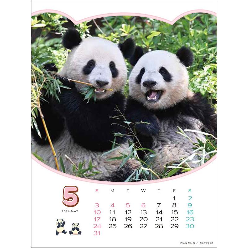 ありがとう！シャオシャオ・レイレイ 思い出カレンダー（シャンシャンもいるよ！）4月始まり 壁掛け・卓上兼用 2026年 カレンダー CL-751 |  | 02