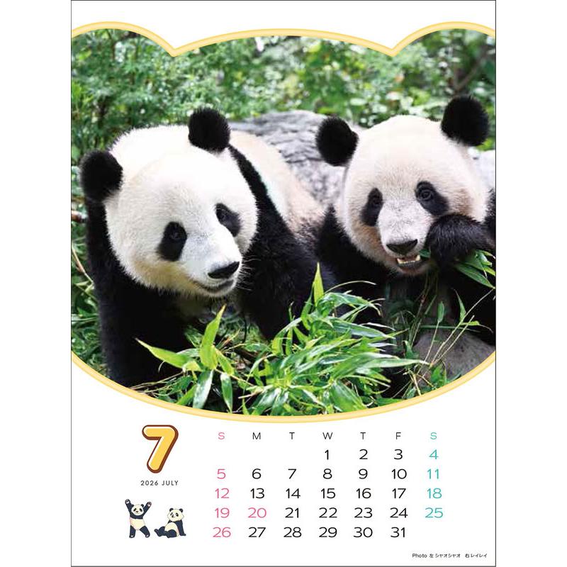 ありがとう！シャオシャオ・レイレイ 思い出カレンダー（シャンシャンもいるよ！）4月始まり 壁掛け・卓上兼用 2026年 カレンダー CL-751 |  | 04