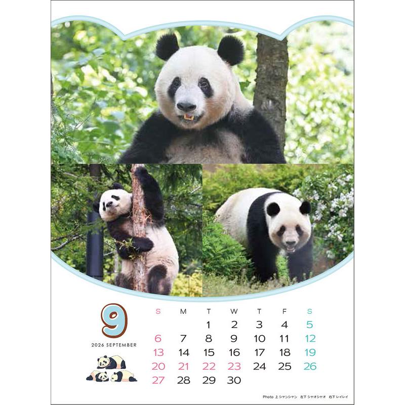 ありがとう！シャオシャオ・レイレイ 思い出カレンダー（シャンシャンもいるよ！）4月始まり 壁掛け・卓上兼用 2026年 カレンダー CL-751 |  | 06