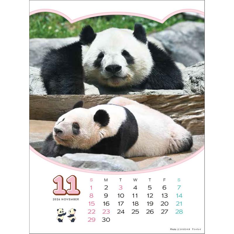 ありがとう！シャオシャオ・レイレイ 思い出カレンダー（シャンシャンもいるよ！）4月始まり 壁掛け・卓上兼用 2026年 カレンダー CL-751 |  | 08