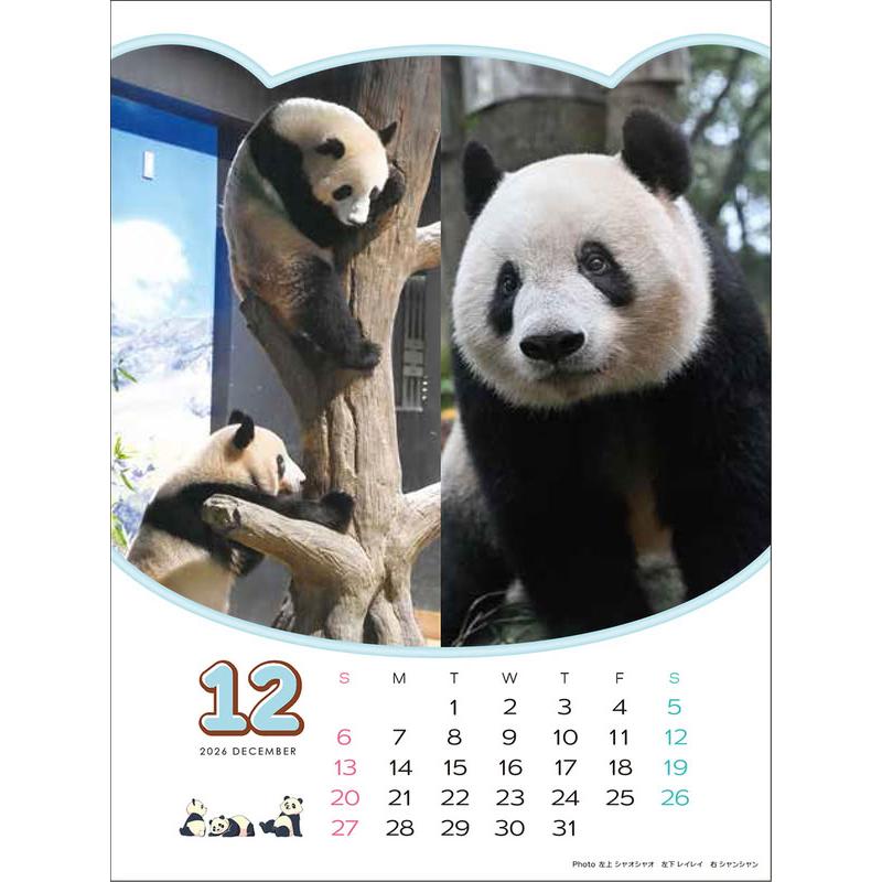 ありがとう！シャオシャオ・レイレイ 思い出カレンダー（シャンシャンもいるよ！）4月始まり 壁掛け・卓上兼用 2026年 カレンダー CL-751 |  | 09