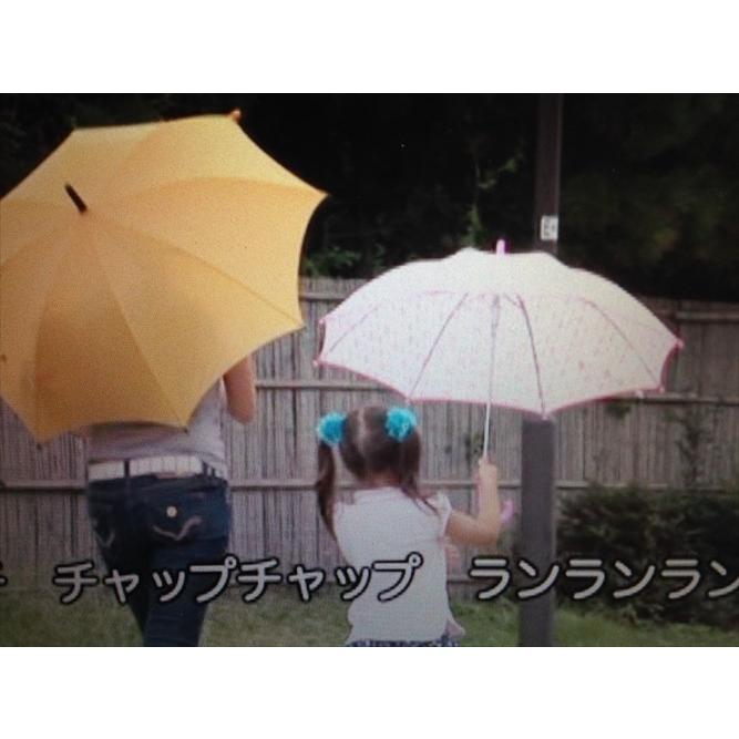 新品 日本の情景と懐かしい唱歌演奏集＆クラシック名曲集
