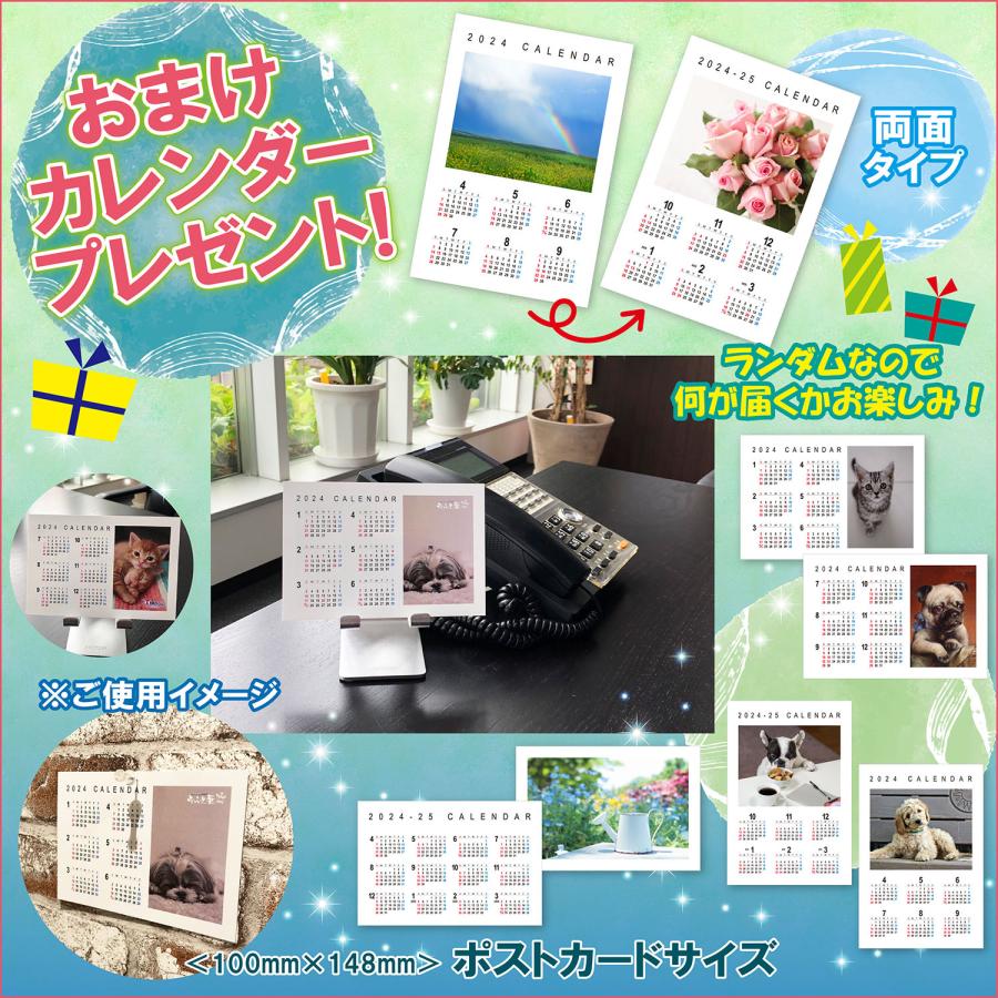 ユニバーサルミュージック 【おまけCL付】新品 北原ミレイ 〜石狩挽歌