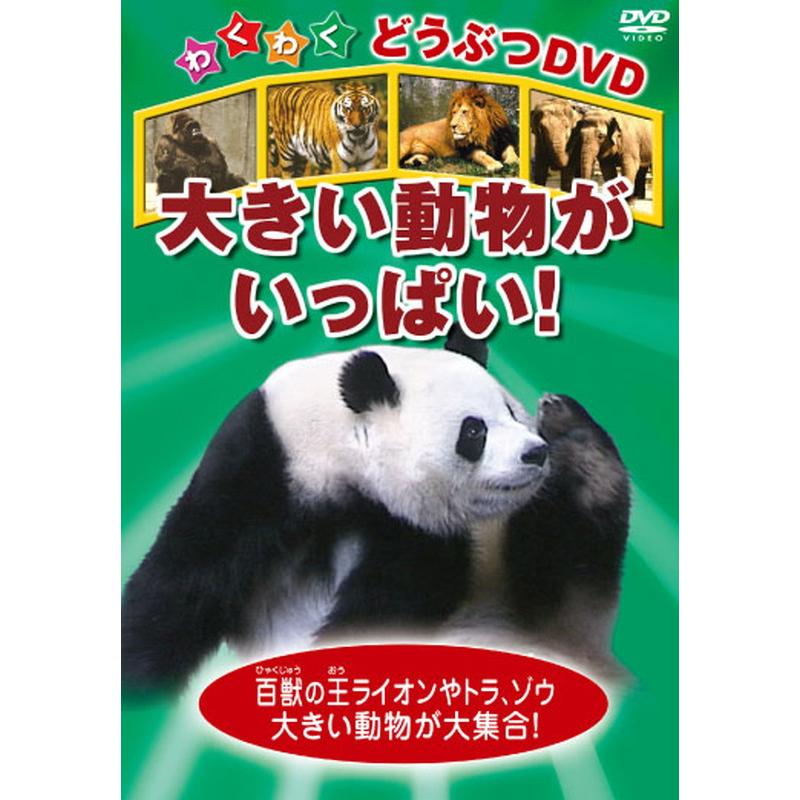 おまけDVD付】新品 大きい動物がいっぱい! / (1DVD) KIC-805-KEI