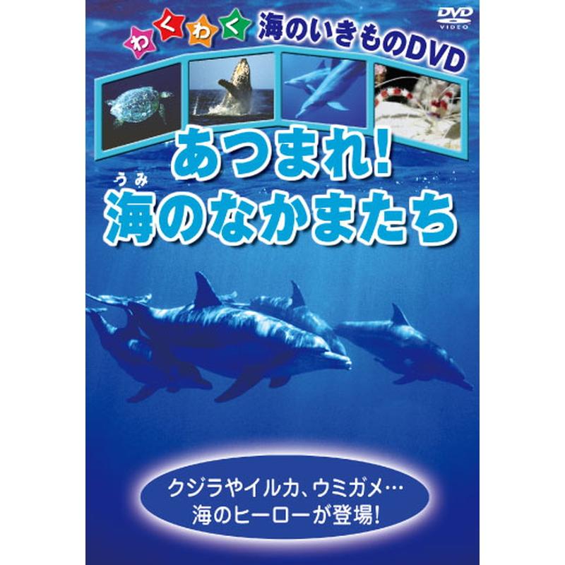 おまけDVD付】新品 あつまれ!海のなかまたち / (1DVD) KIC-808-KEI