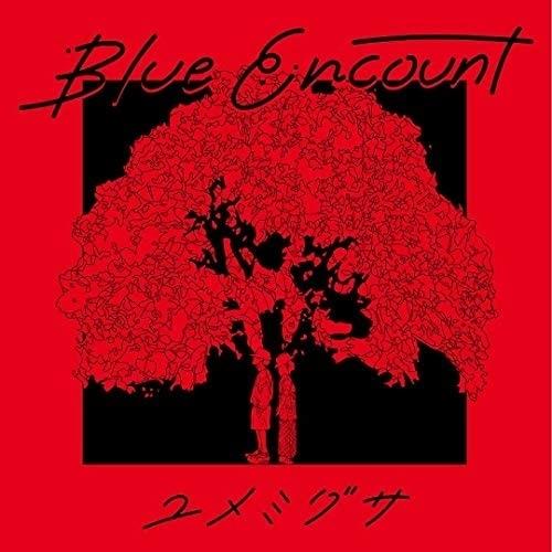 【おまけCL付】新品 ユメミグサ(初回生産限定盤) / BLUE ENCOUNT ブルーエンカウント (CDM+DVD) KSCL3255-SK｜softya