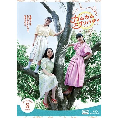 新品 連続テレビ小説 カムカムエヴリバディ 完全版 Blu-ray BOX2 / (4枚組Blu-ray) NSBX-25354-NHK