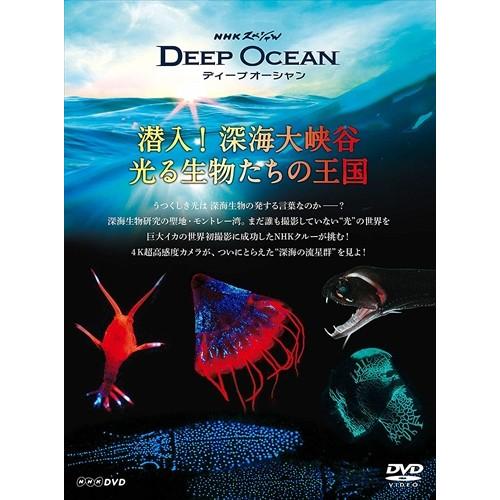 Nhkスペシャル ディープ オーシャン 潜入 深海大峡谷 光る生物たちの王国 久石譲 Dvd Nsds Nhk そふと屋 Paypayモール店 通販 Paypayモール