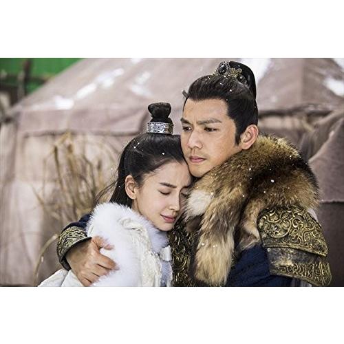 孤高の花dvd全巻セット全31巻アンジェラベイビー中国ドラマ、中国ラブ