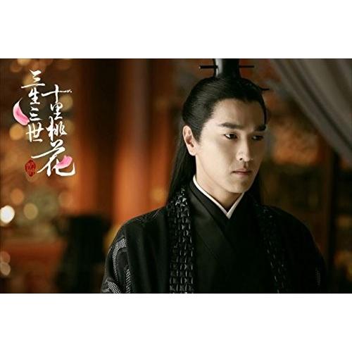 【おまけCL付】新品 永遠の桃花~三生三世~ DVD-BOX2 / ヤン・ミー［楊冪］、マーク・チャオ、ケン・チャン、唐七公子 (DVD) OPSDB679-SPOの画像