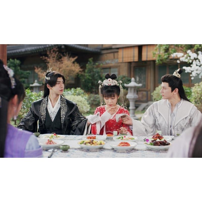 花青歌～悪役皇子の花嫁～ DVD-BOX1＆2 〈各9枚組〉完結 cena_opsd-b896-b897