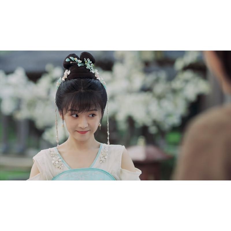 おまけCL付】新品 花青歌〜悪役皇子の花嫁〜 DVD-BOX1 / (9DVD