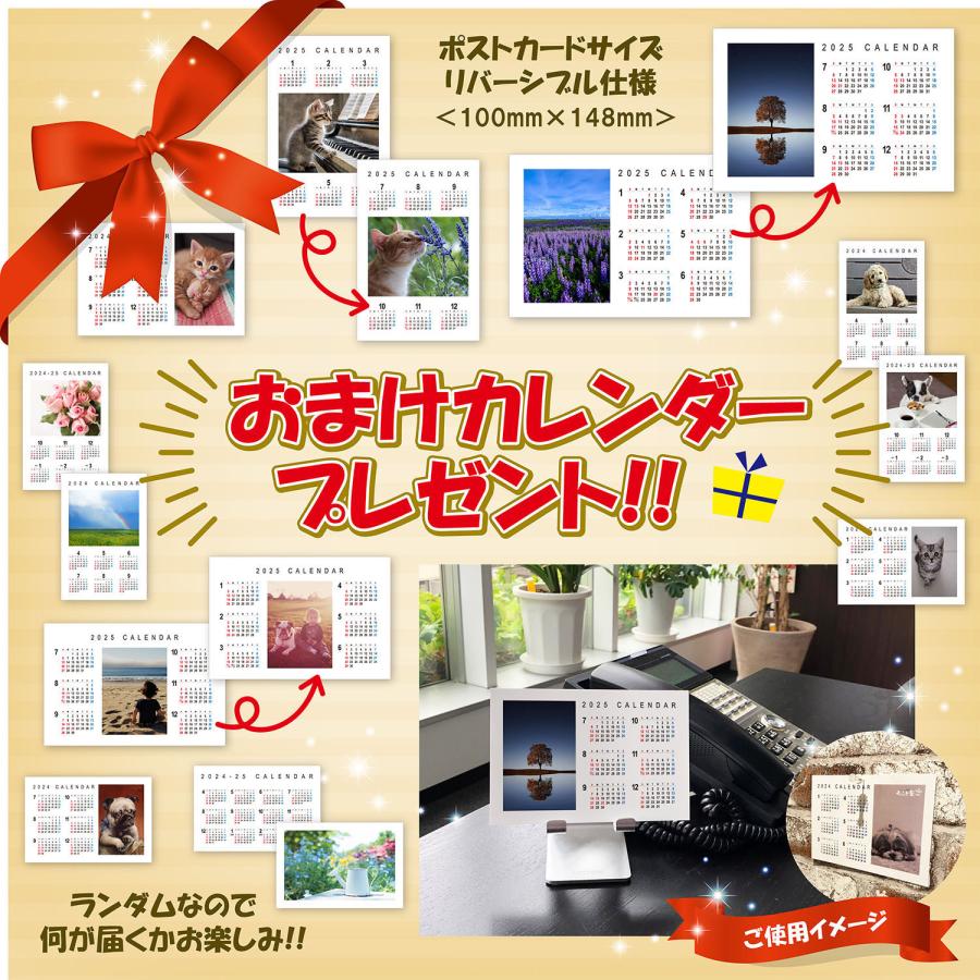 おまけCL付】新品 怪奇蒐集者 (かいきコレクター) 城谷怪談セットB
