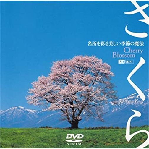 【おまけCL付】新品 シンフォレストDVD さくら -名所を彩る美しい季節の魔法- Cherry Blossom /  (DVD) SDA30-TKO｜softya
