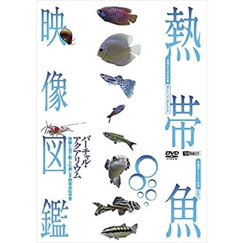 シンフォレスト熱帯魚映像図鑑 バーチャル アクアリウム 映像と音で愉しむ美しき熱帯魚の世界 Dvd Sda96 Tko