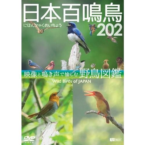 シンフォレストdvd 日本百鳴鳥 2 映像と鳴き声で愉しむ野鳥図鑑 Dvd Sdb13 Tko そふと屋 Paypayモール店 通販 Paypayモール