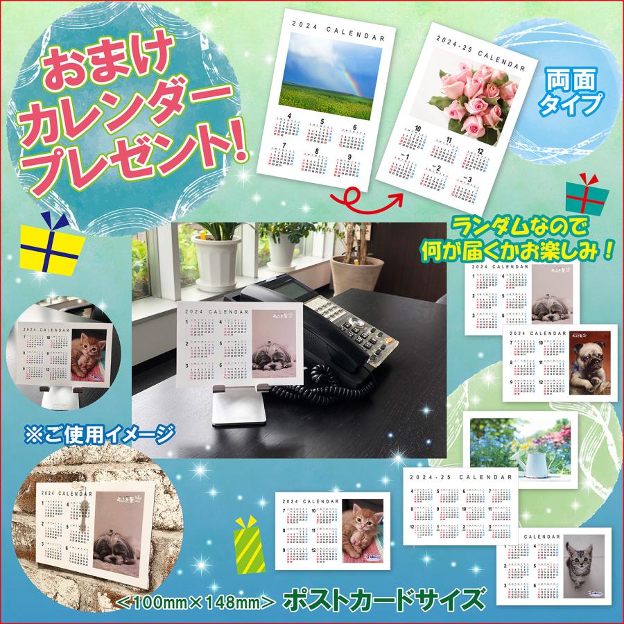 おまけCL付】新品 ポール・モーリア 永遠の名盤コレクション 48曲 / (4