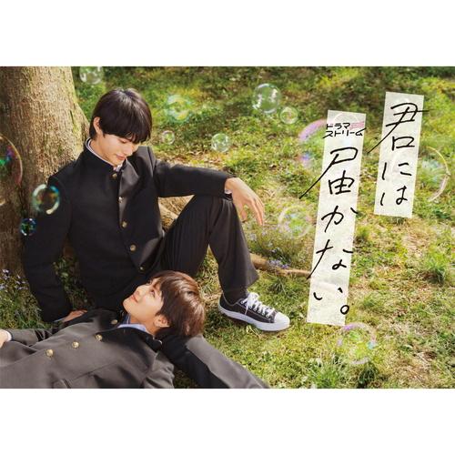 おまけCL付】新品 君には届かない。 Blu-ray BOX / (3Blu-ray