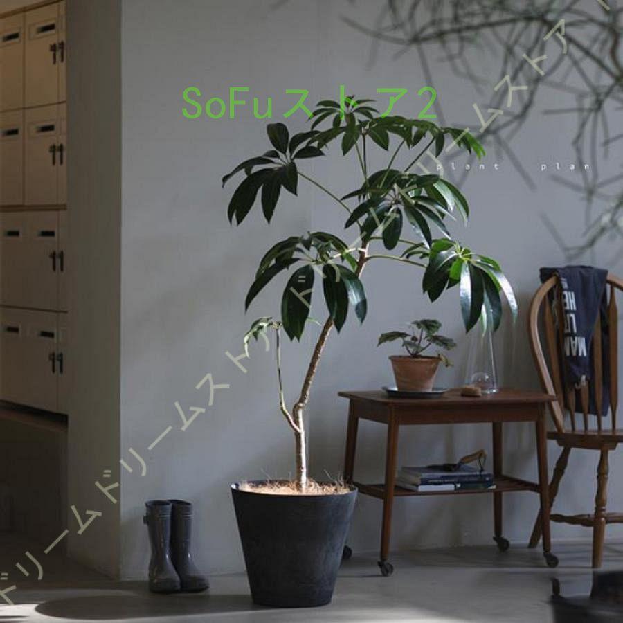 植木鉢 観葉植物 花 多肉植物 ハーブ 鉢植え ガーデニング ナチュラル オシャレ カッコイイ シンプル プランター 植木鉢 おしゃれ 樹脂製 鉢植え 花 栽培 丸形 植木鉢 鉢植え 花 ガーデニング プランター おしゃれ 栽培