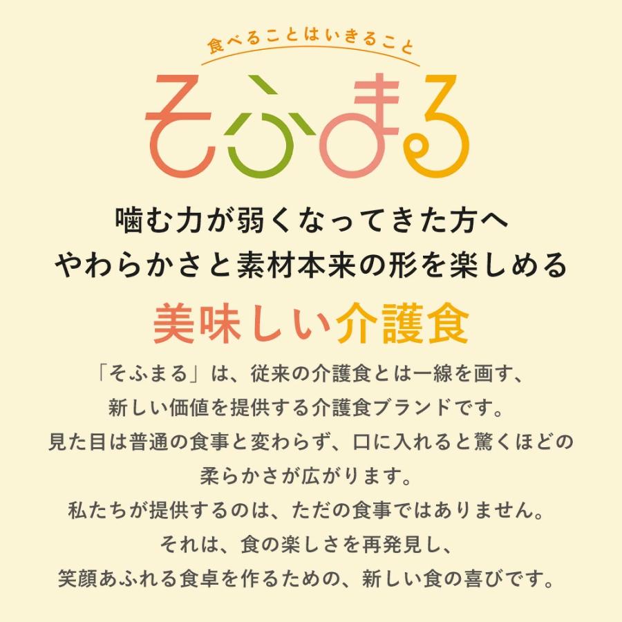 介護食 やわらか食 送料無料 麺9食セット 冷凍 柔らかい 介護食品 やわらか食品 歯ぐきでつぶせる 舌でつぶせる おいしい おかず 刻み食 そふまる |  | 10