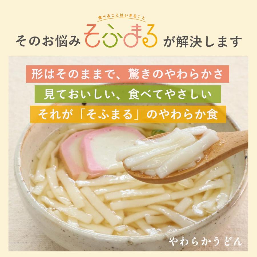 介護食 やわらか食 送料無料 麺9食セット 冷凍 柔らかい 介護食品 やわらか食品 歯ぐきでつぶせる 舌でつぶせる おいしい おかず 刻み食 そふまる |  | 03
