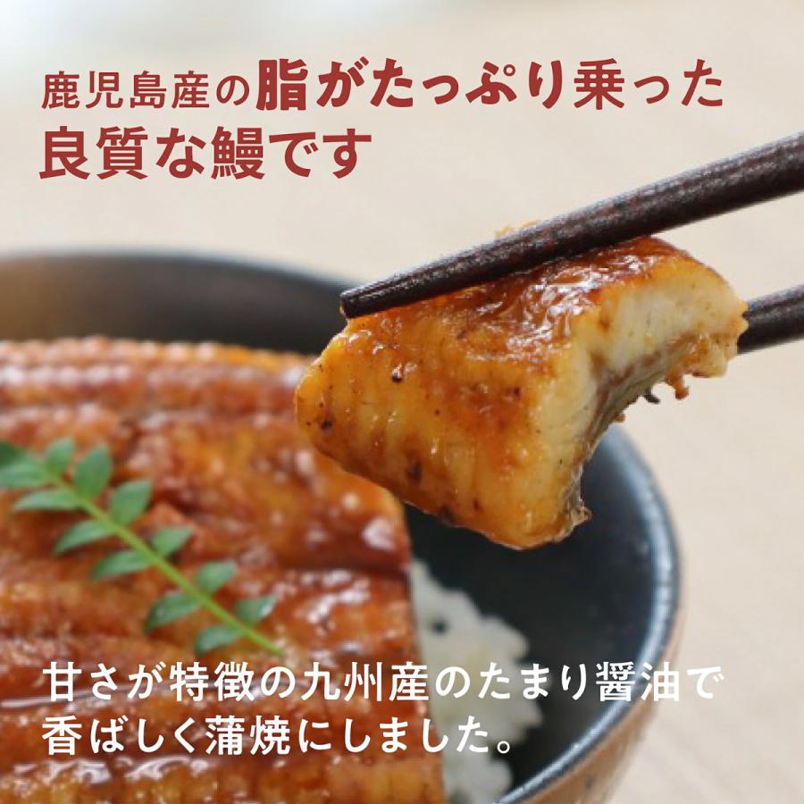 介護食 やわらか食 送料無料 うなぎ蒲焼き・国産牛4食セット 冷凍 柔らかい 介護食品 やわらか食品 容易にかめる おいしい おかず 刻み食 そふまる |  | 01