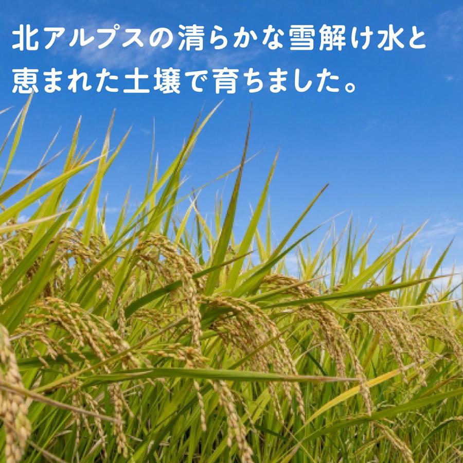 介護食 やわらか食 送料無料  やわらかごはん20食セット 冷凍 柔らかい 介護食品 やわらか食品 歯ぐきでつぶせる 舌でつぶせる おいしい おかず 刻み食 そふまる |  | 01