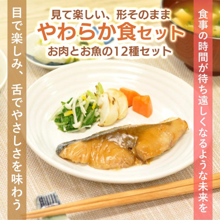 介護食 やわらか食 送料無料 お肉お魚12食セット 冷凍 柔らかい 介護食品 やわらか食品 歯ぐきでつぶせる 舌でつぶせる おいしい おかず 刻み食 そふまる |  | 03