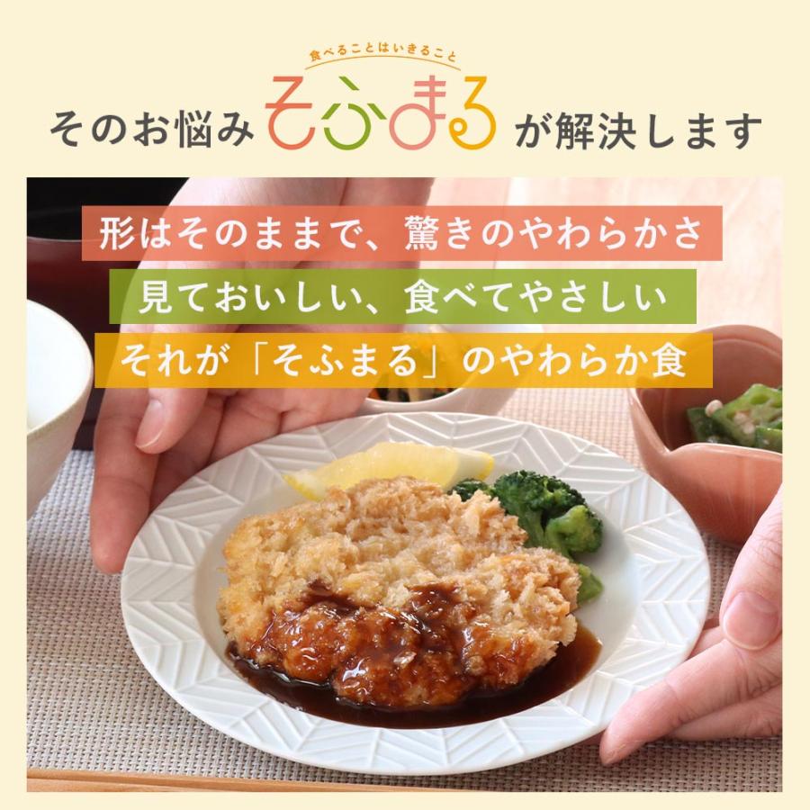 介護食 やわらか食 送料無料 お肉12食セット 冷凍 柔らかい 介護食品 やわらか食品 歯ぐきでつぶせる 舌でつぶせる おいしい おかず 刻み食 そふまる |  | 04