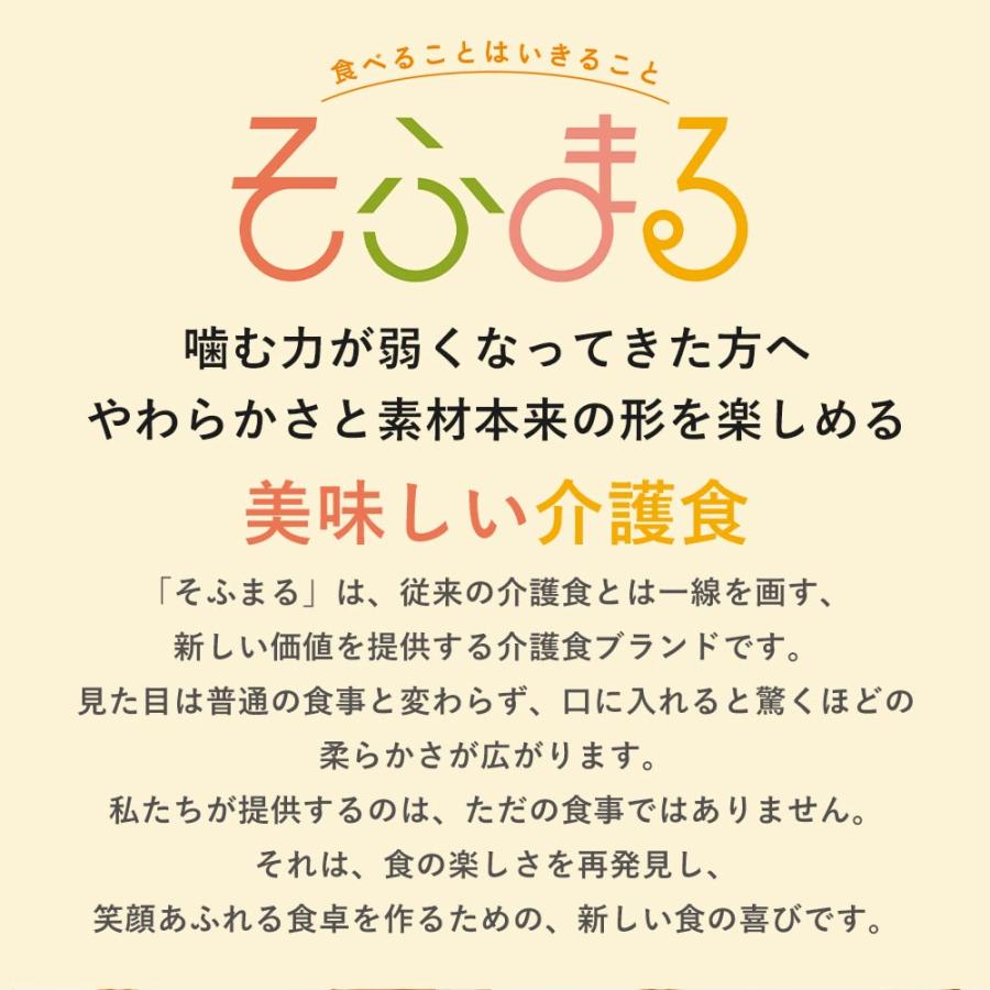 介護食 やわらか食 送料無料 お肉12食セット 冷凍 柔らかい 介護食品 やわらか食品 歯ぐきでつぶせる 舌でつぶせる おいしい おかず 刻み食 そふまる |  | 05