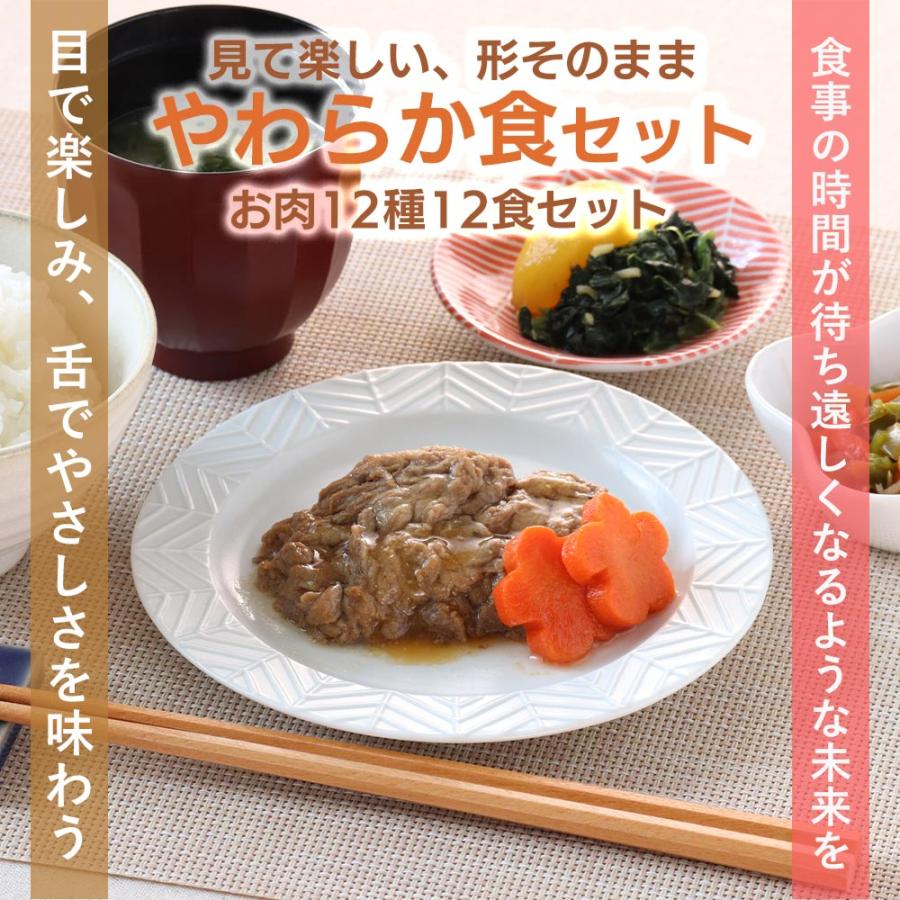 介護食 やわらか食 送料無料 お肉12食セット 冷凍 柔らかい 介護食品 やわらか食品 歯ぐきでつぶせる 舌でつぶせる おいしい おかず 刻み食 そふまる |  | 07