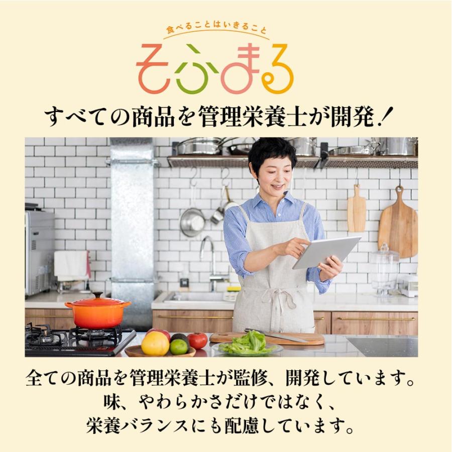 介護食 やわらか食 送料無料 お魚12食セット 冷凍 柔らかい 介護食品 やわらか食品 歯ぐきでつぶせる 舌でつぶせる おいしい おかず 刻み食 そふまる |  | 17