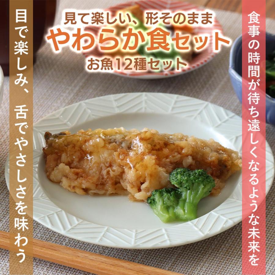 介護食 やわらか食 送料無料 お魚12食セット 冷凍 柔らかい 介護食品 やわらか食品 歯ぐきでつぶせる 舌でつぶせる おいしい おかず 刻み食 そふまる |  | 07