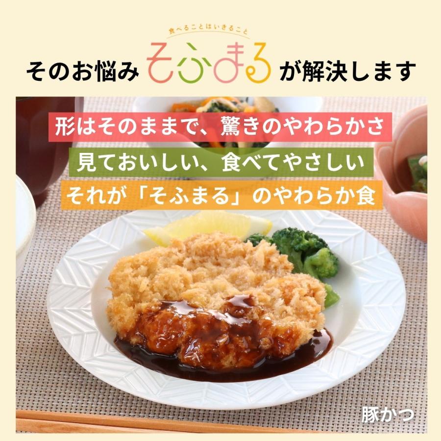 介護食 やわらか食 送料無料  お肉 お試し 3品セット 冷凍 柔らかい 介護食品 やわらか食品 歯ぐきでつぶせる おいしい おかず 刻み食 そふまる |  | 05