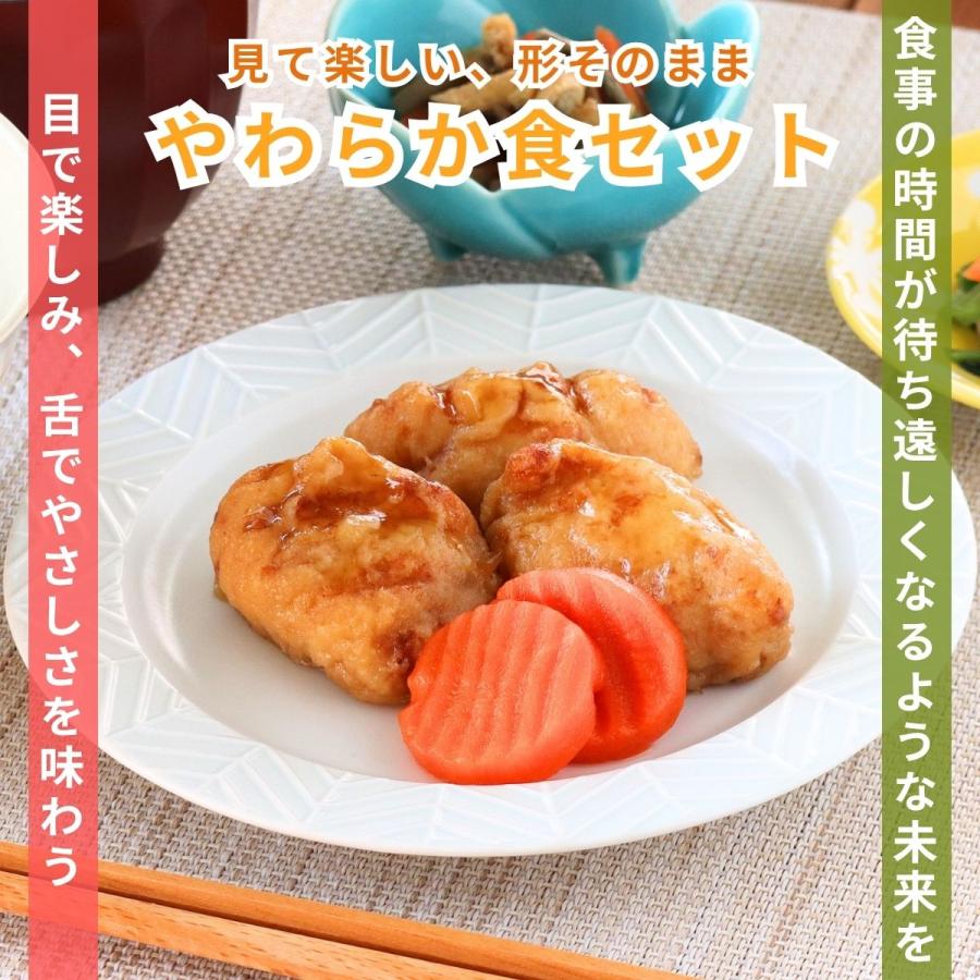 介護食 やわらか食 送料無料  お肉 お試し 3品セット 冷凍 柔らかい 介護食品 やわらか食品 歯ぐきでつぶせる おいしい おかず 刻み食 そふまる |  | 08