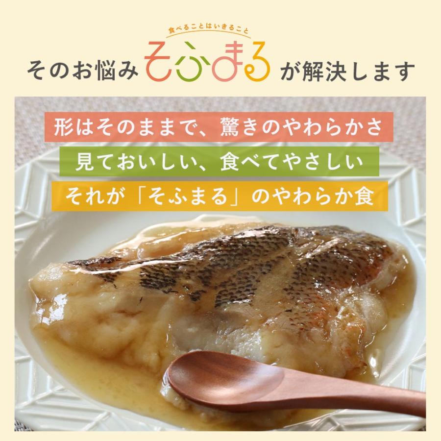 介護食 やわらか食 送料無料  お魚 お試し 3品セット 冷凍 柔らかい 介護食品 やわらか食品 歯ぐきでつぶせる 舌でつぶせる おいしい おかず 刻み食 そふまる |  | 05