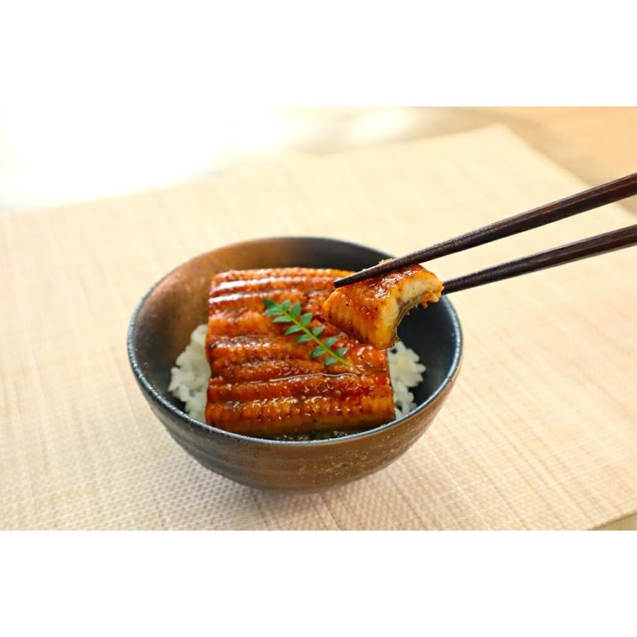 介護食 やわらか食 送料無料  やわらかうなぎ お試し 2品セット 冷凍 柔らかい 介護食品 やわらか食品 容易にかめる おいしい おかず 刻み食 そふまる |  | 03