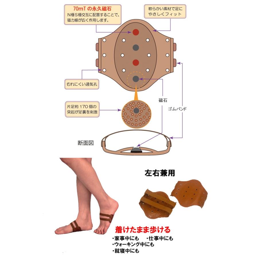 送料無料≪医療機器≫足裏磁気健康サポーター ピンピン ナック １足（両足）管理医療機器【TR】 : そうごう薬局 e-shop - 通販 -  Yahoo!ショッピング