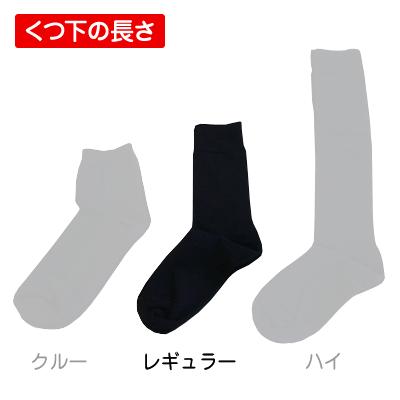 小林製薬 桐灰 足の冷えない不思議なくつ下 レギュラーソックス