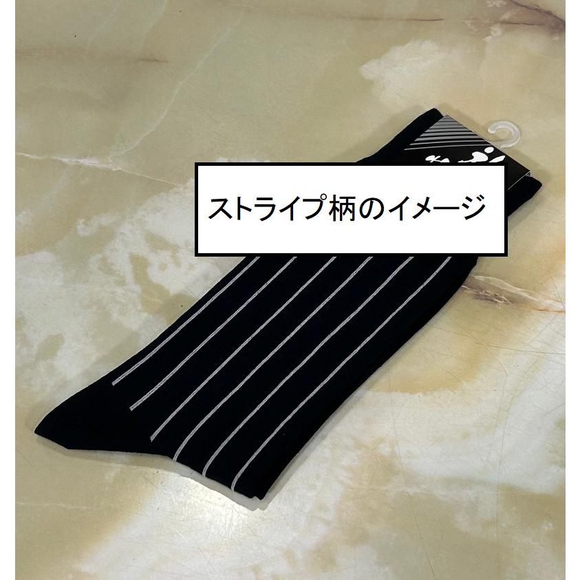 送料無料 ウィングカラーシャツと必須小物5点セット／お手ごろ価格
