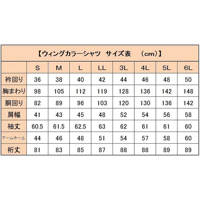 送料無料 ウィングカラーシャツと安心の小物7点フルセット／お手ごろ
